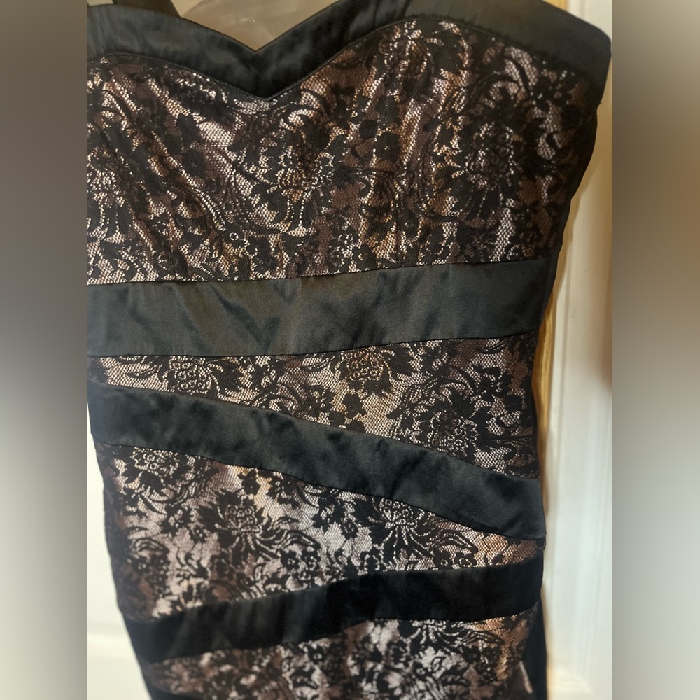 Dynamite Black and Brown Strapless Lace Dress - Picture 7 of 9